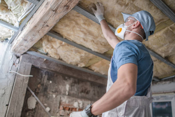 Best Insulation Contractors for Homes  in Avimor, ID