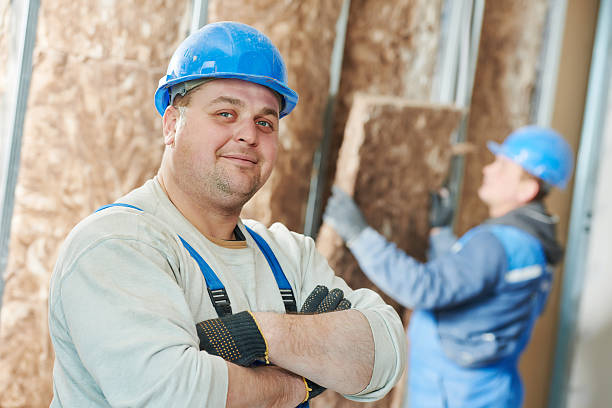 Best Insulation for New Construction  in Avimor, ID
