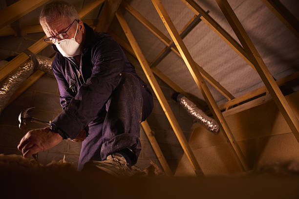 Best Insulation Replacement Services  in Avimor, ID