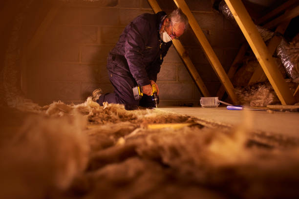 Best Cellulose Insulation  in Avimor, ID
