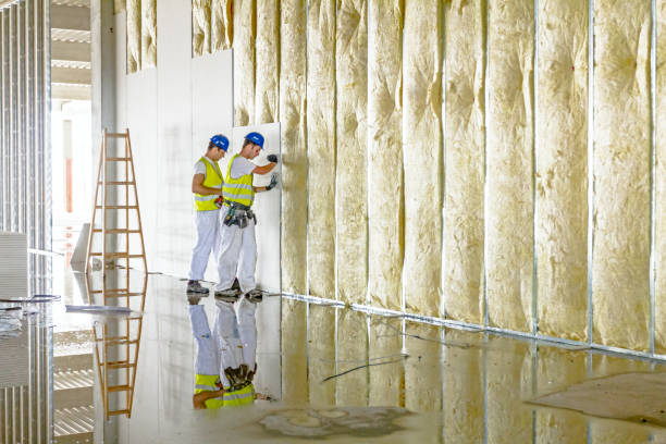 Insulation for Commercial Buildings in Avimor, ID